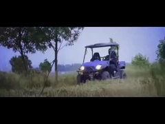 5kw/8KW दो सीटों वाला इलेक्ट्रिक फार्म UTV 4X4 ईईसी के साथ ट्रक